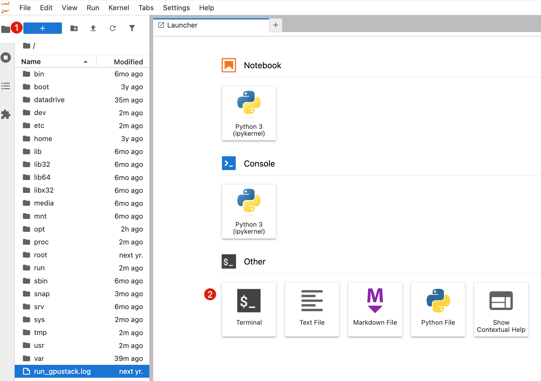 image-20250821162648937