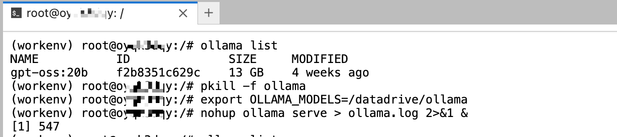 image-20250906110430019